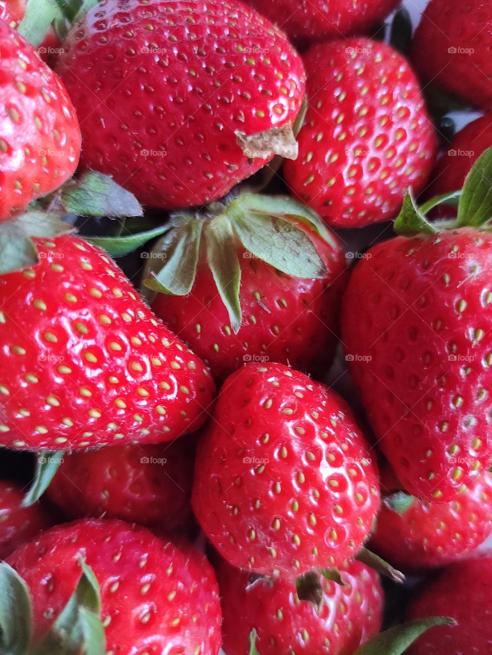 Fresas / Strawberries