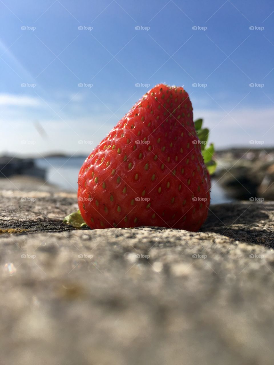 Strawberry close up