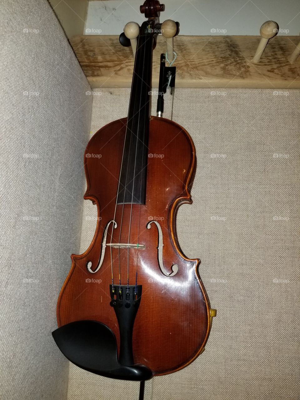 musical instrument fiddle