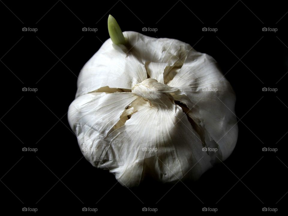 Garlic on black background