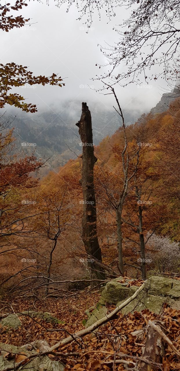 Autumn in mountain