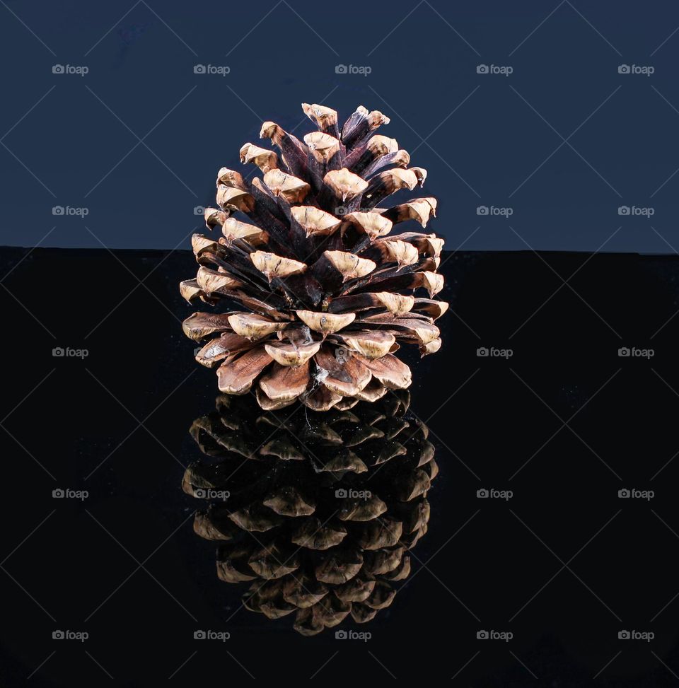 Christmas tree cone on the  table
