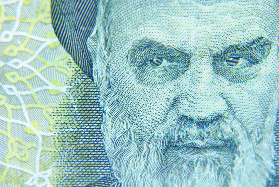 Iran currency close up