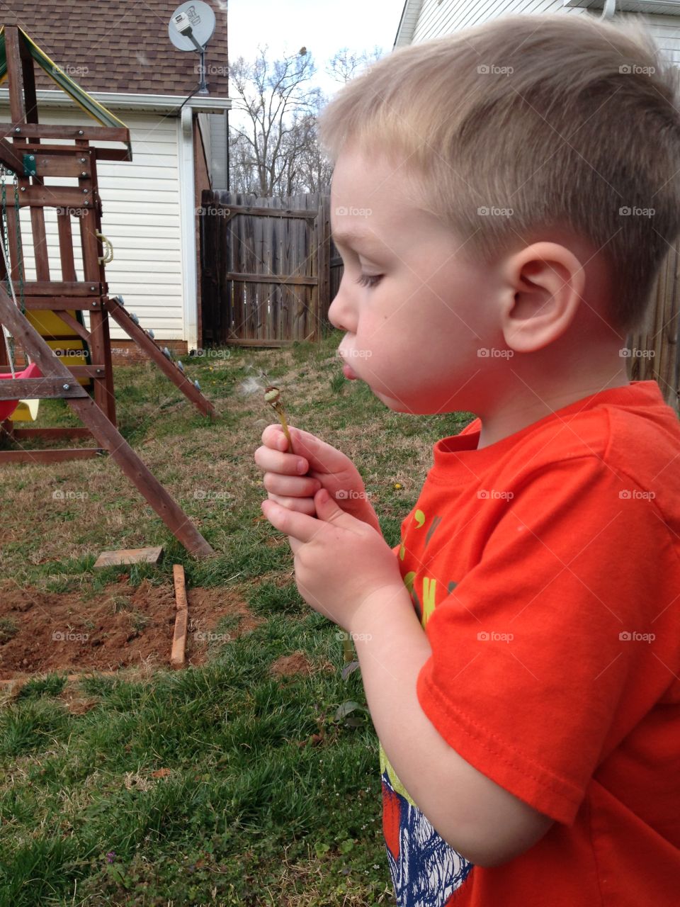 Boy blowing flower