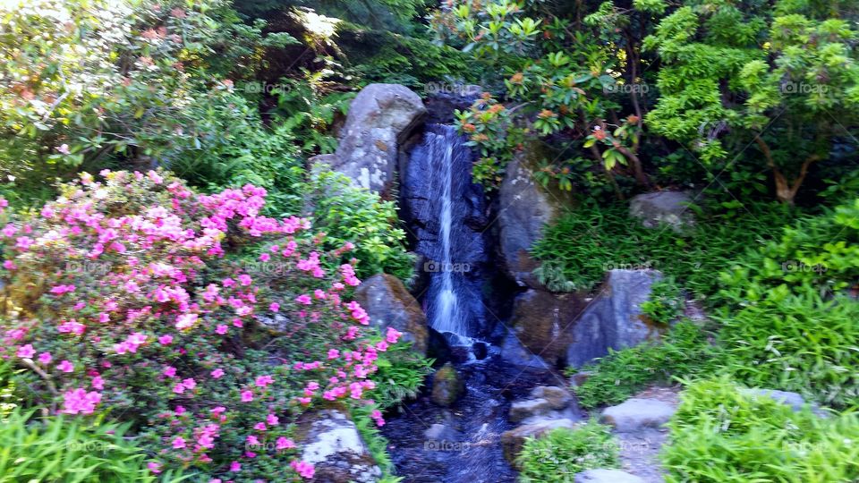 japanese garden waterfall
