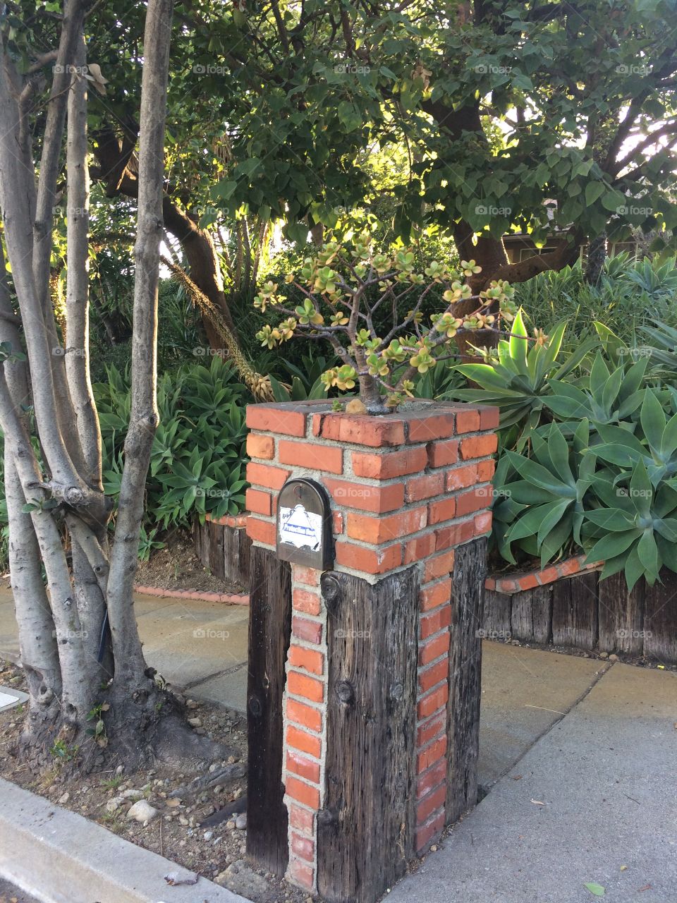 Mailbox 