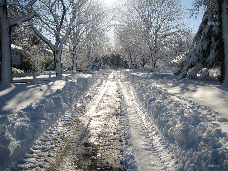View of snowy track