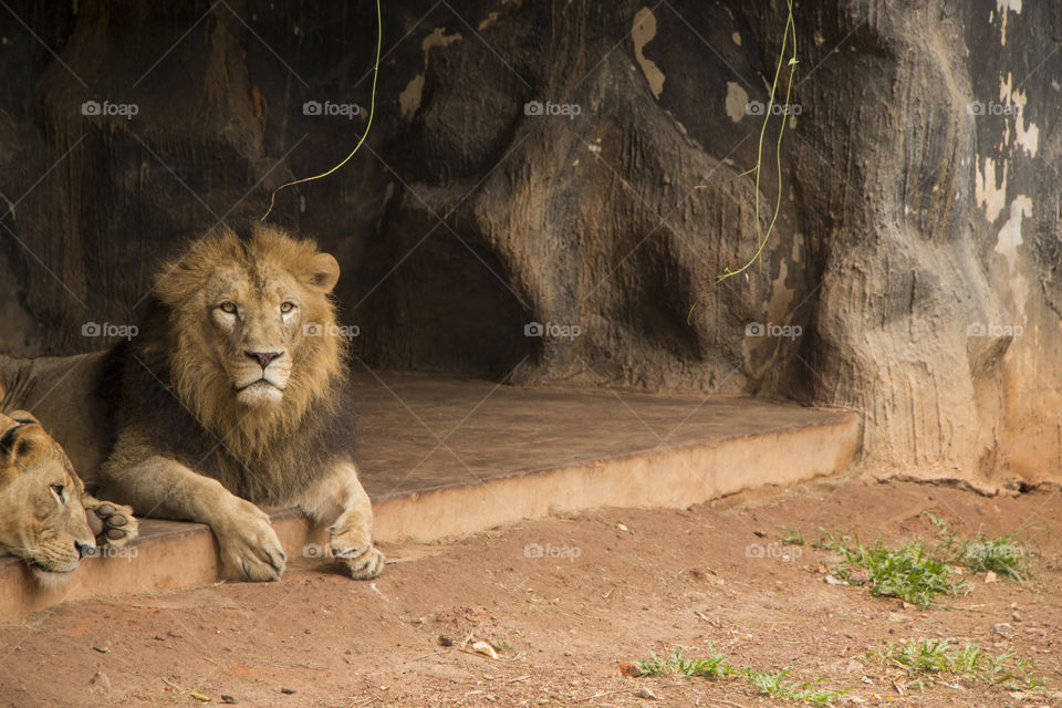National Zoological Gardens of Sri Lanka