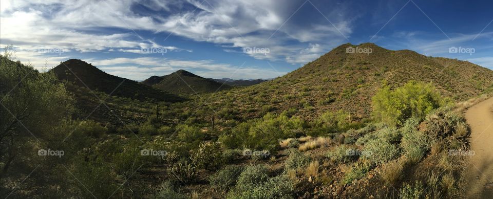 Partial panorama of a hiking trail in Cave Creek, Arizona north of Phoenix. Desert flora such as saguaro cactus, ocotillo,  and wildflowers are present in this mountain range.