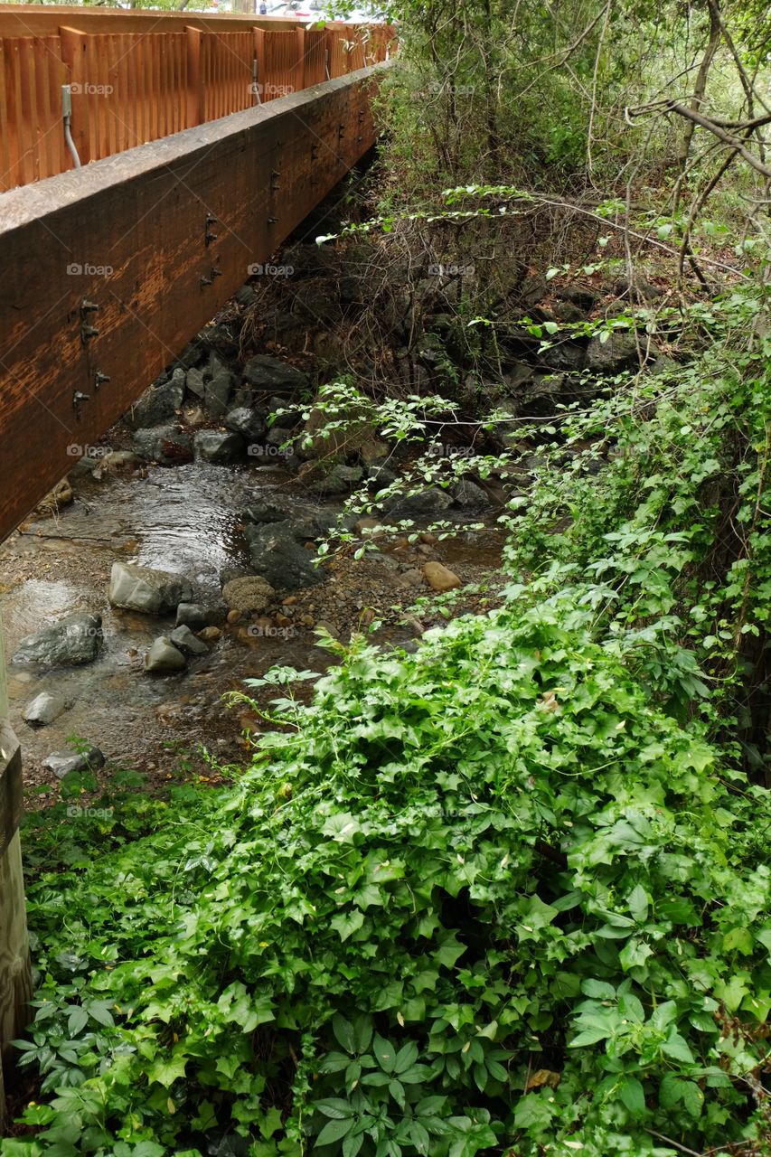 Water under bridge