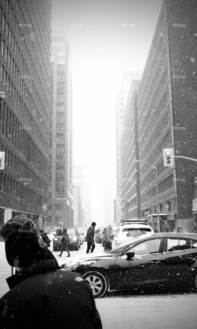 A Very Snowy Winter City