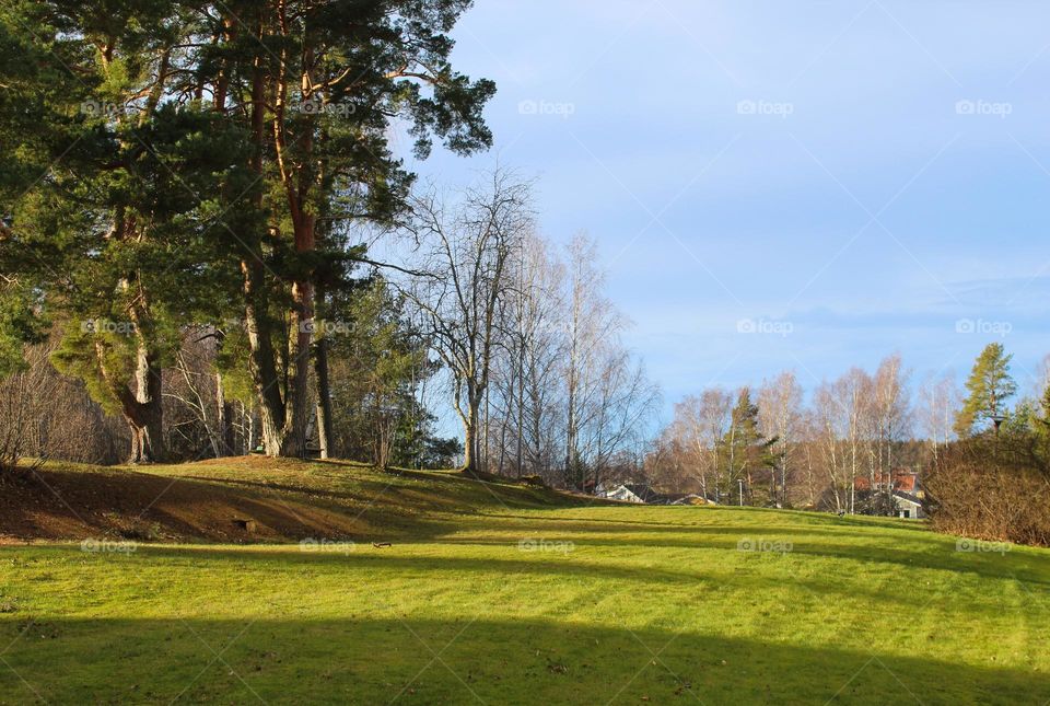 Winter landscape in the countryside.  Meadow with trees and houses in the background