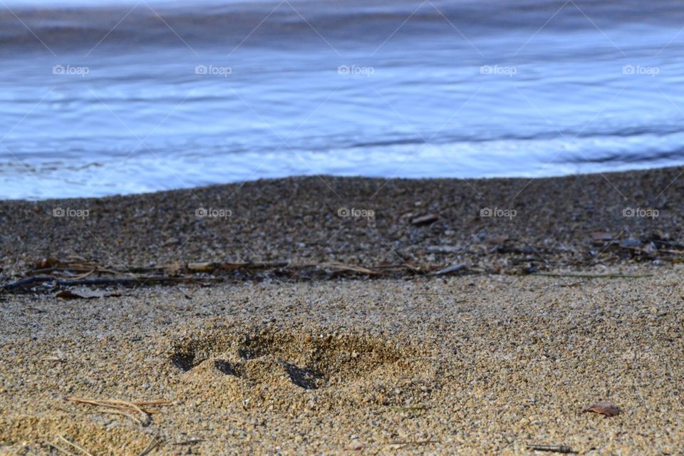 On the Beach