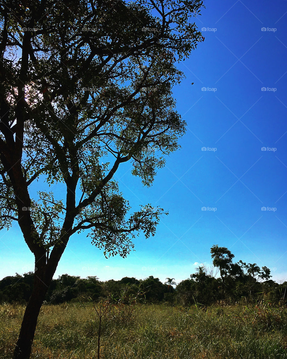 16h00 no Bairro Medeiros, em Jundiaí.
Como é bom viver aqui!
📸
#FOTOGRAFIAéNOSSOhobby
#paisagem #céu #natureza 