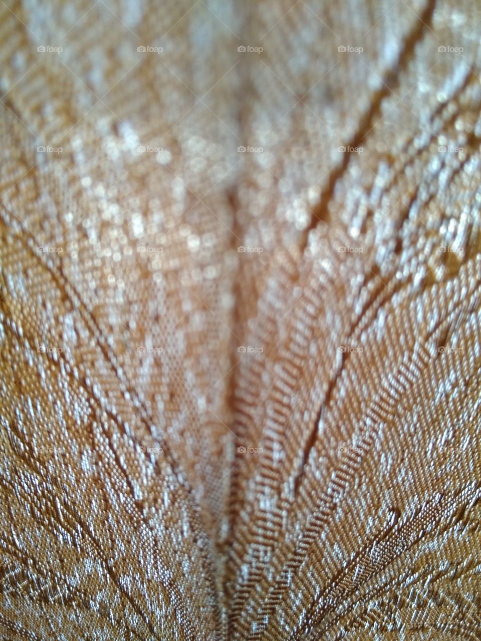 texture