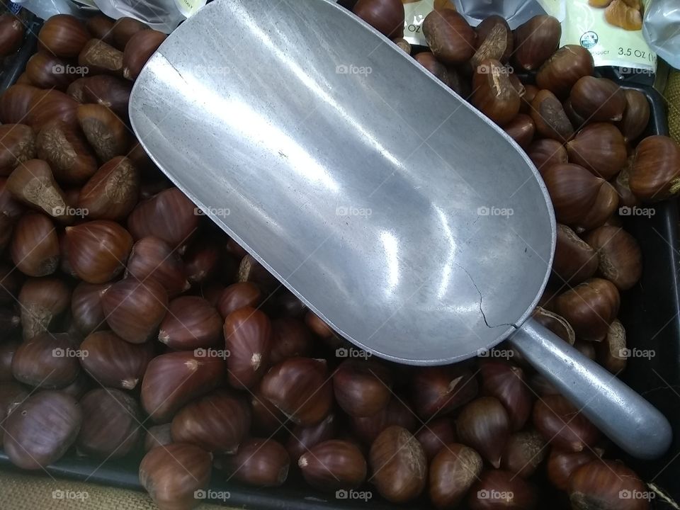 Home with Chestnuts