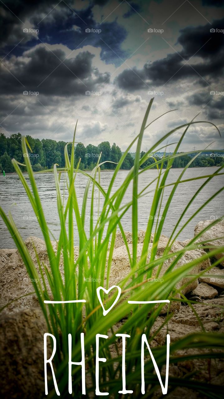 Rhein bei Koblenz Germany