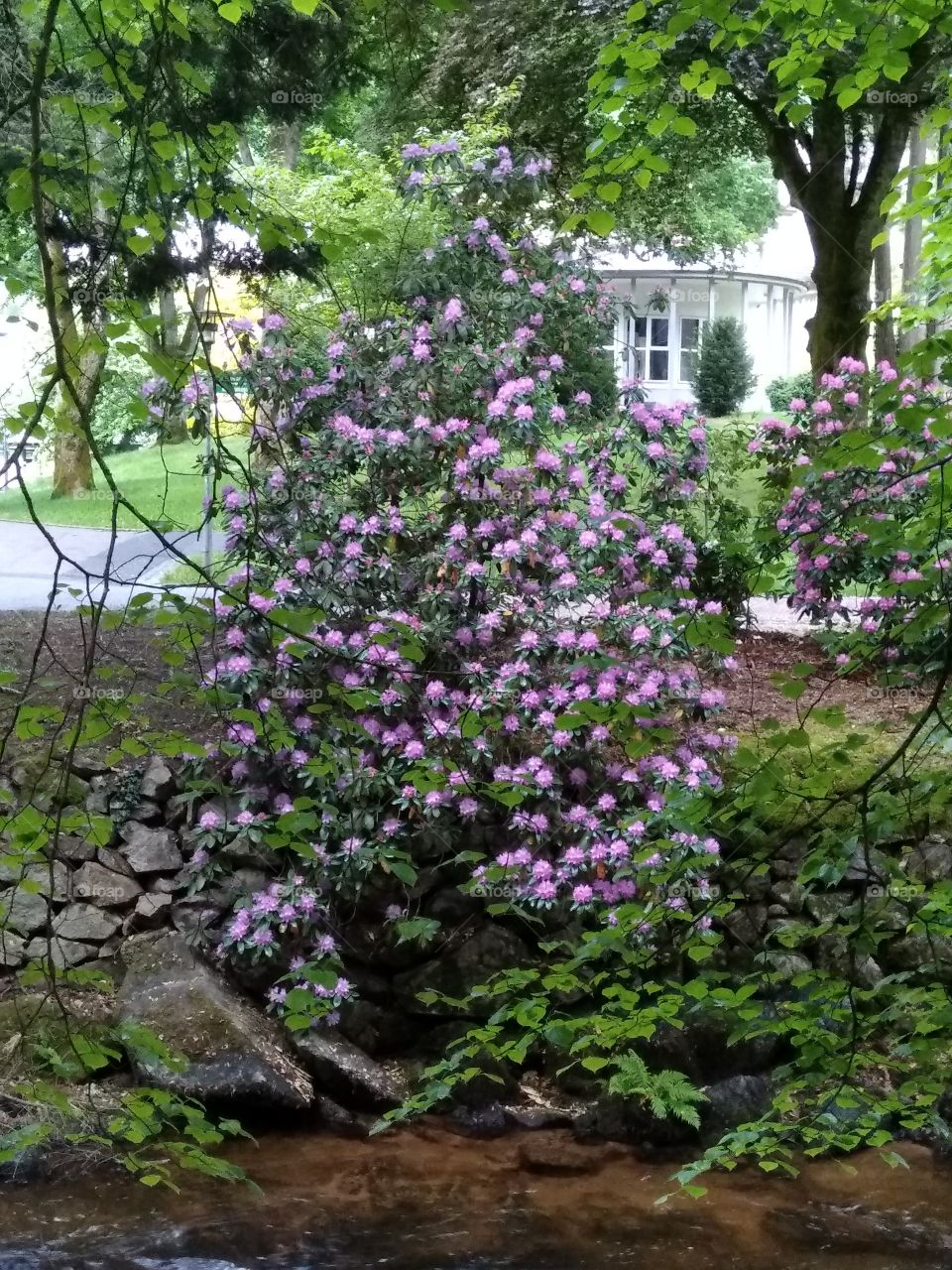 Kurpark in Bad Wildbad