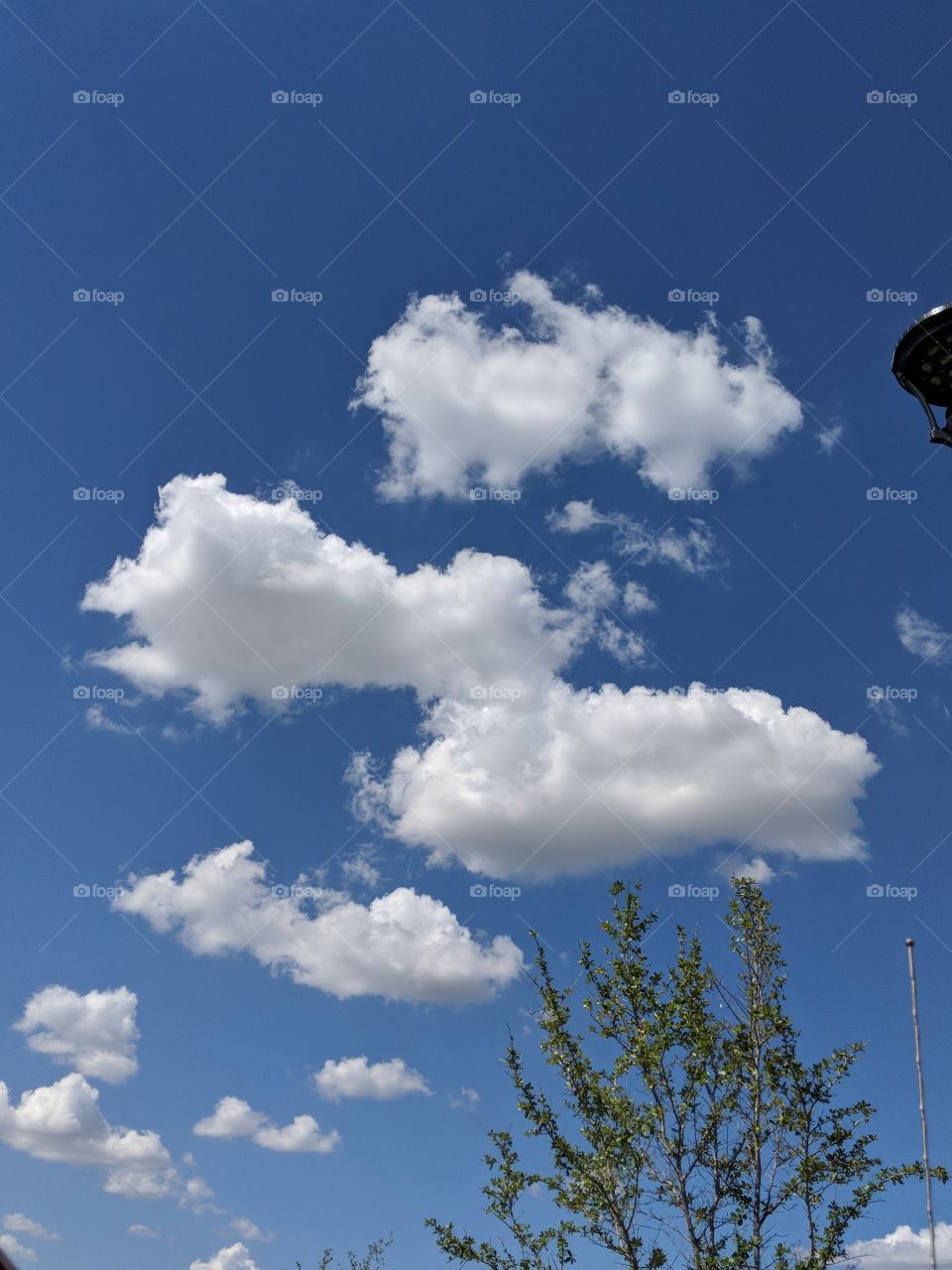 shapes in the clouds