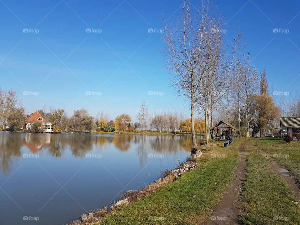 Tree, Landscape, No Person, Lake, River