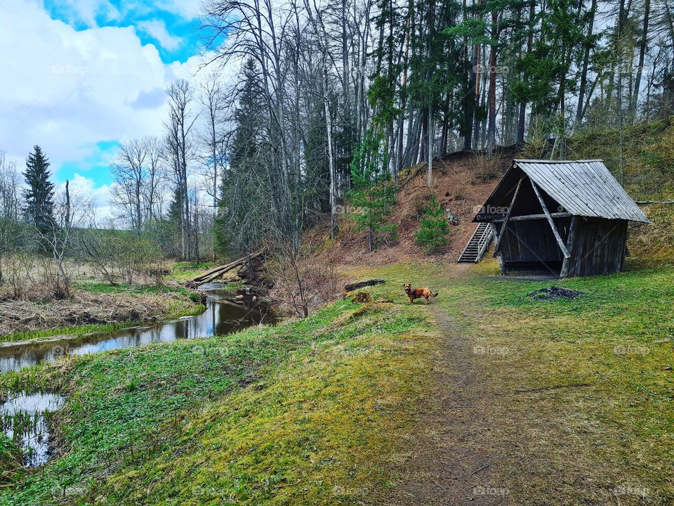 beautoful place at Latvia wood