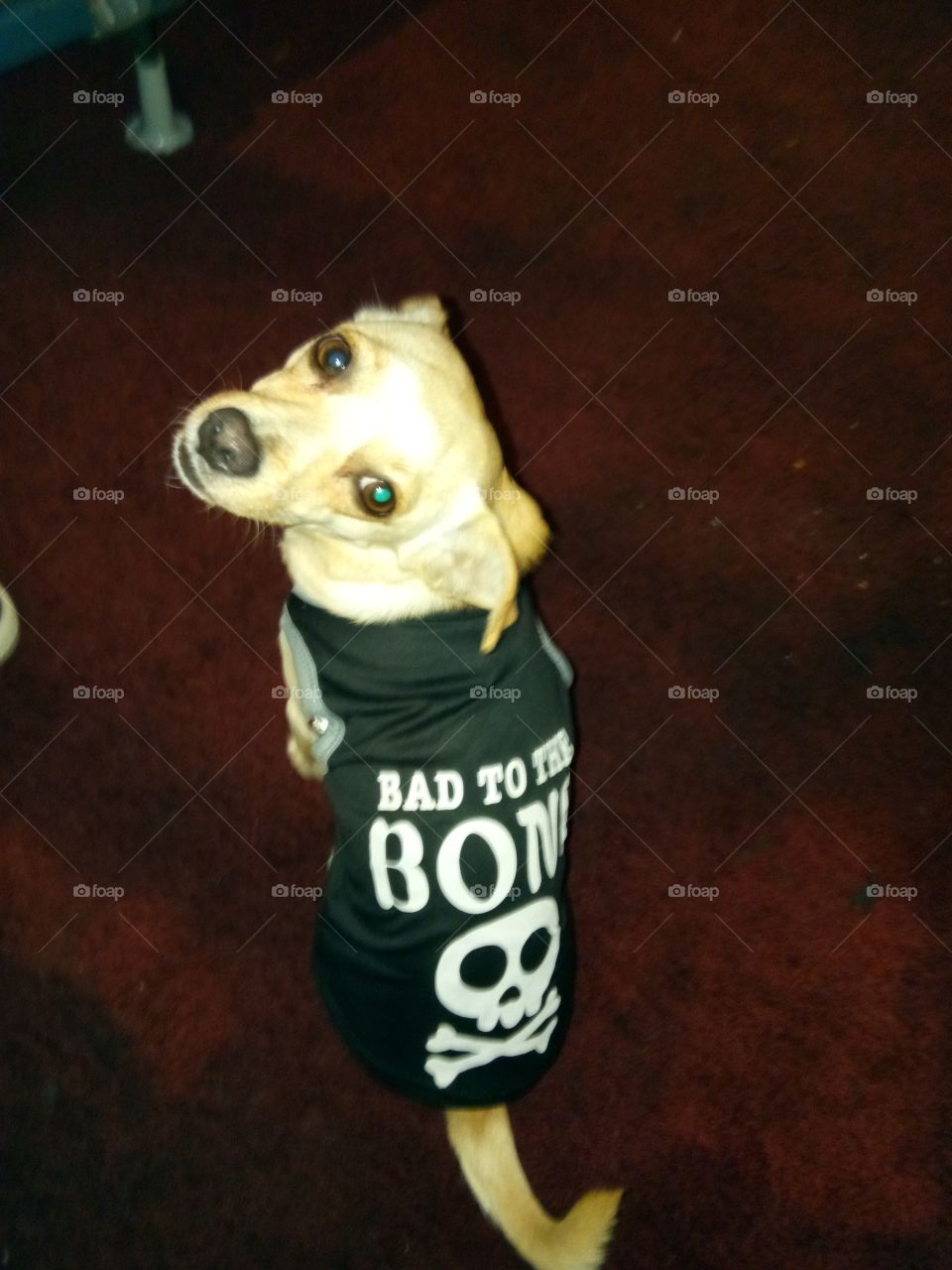 My baby girl is bad to the bone.