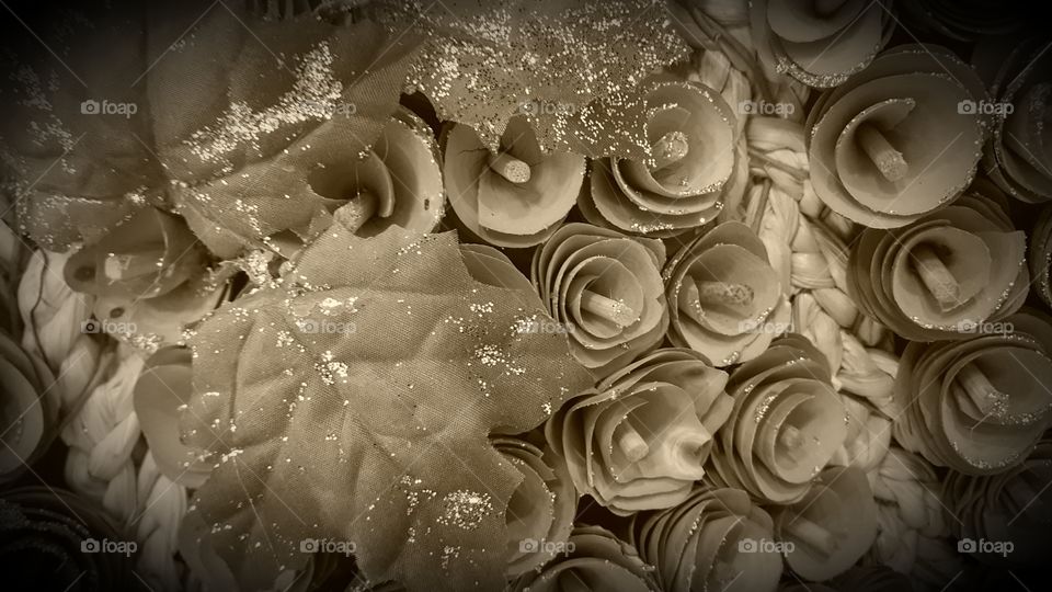 sepia flowers