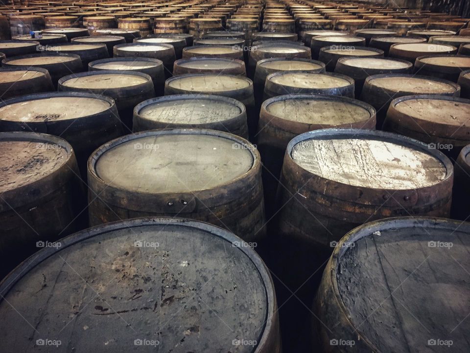 Whisky Barrels in a Scottish Brewery 🏴󠁧󠁢󠁳󠁣󠁴󠁿