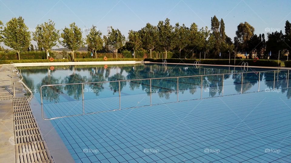reflections of trees in the swimming pool in a sunny day