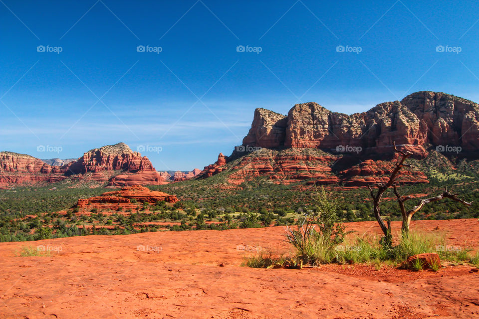 Orange Rock and Blue Sky in the Arizona Desert 