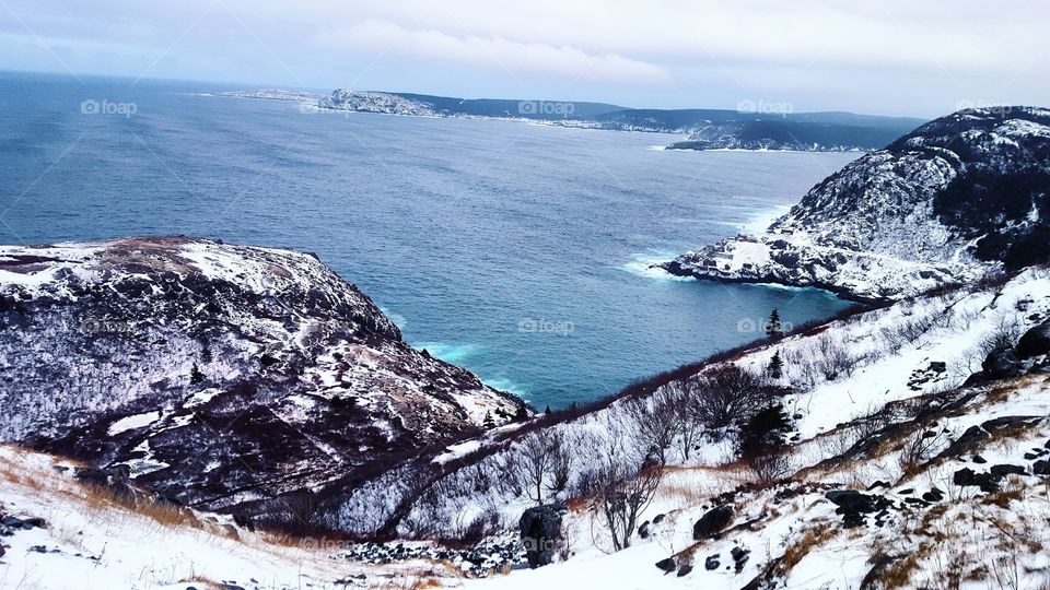 Newfoundland