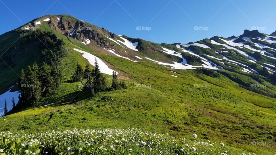 White pass trail Washington