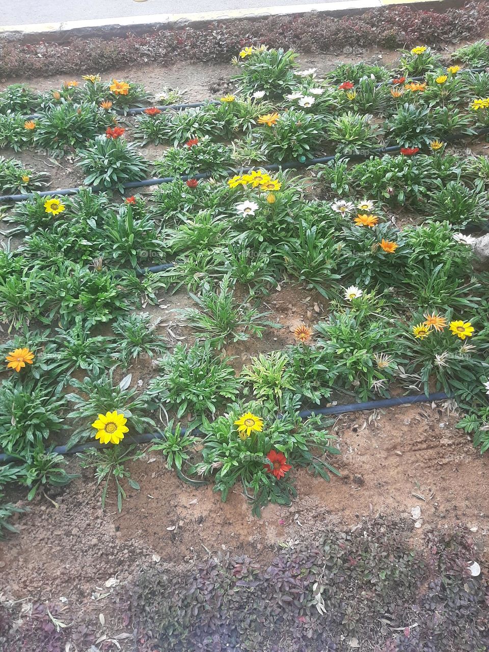 I need support I'm very poor