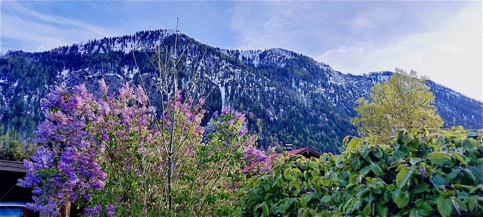 These are the Alps in the vicinity of „Bayerischzell“, a small but rather popular township in „Bavaria“, Germany in particular the „Wendelstein“ mountain which is nearest. 2024. Hypnotic Productions