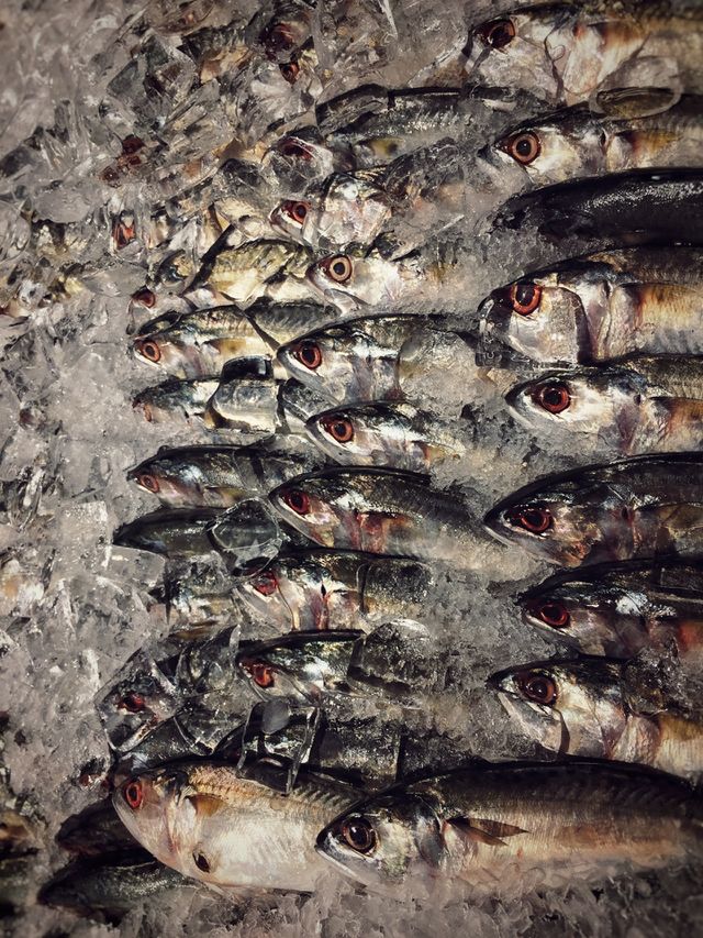 Fresh sea food on a tray.