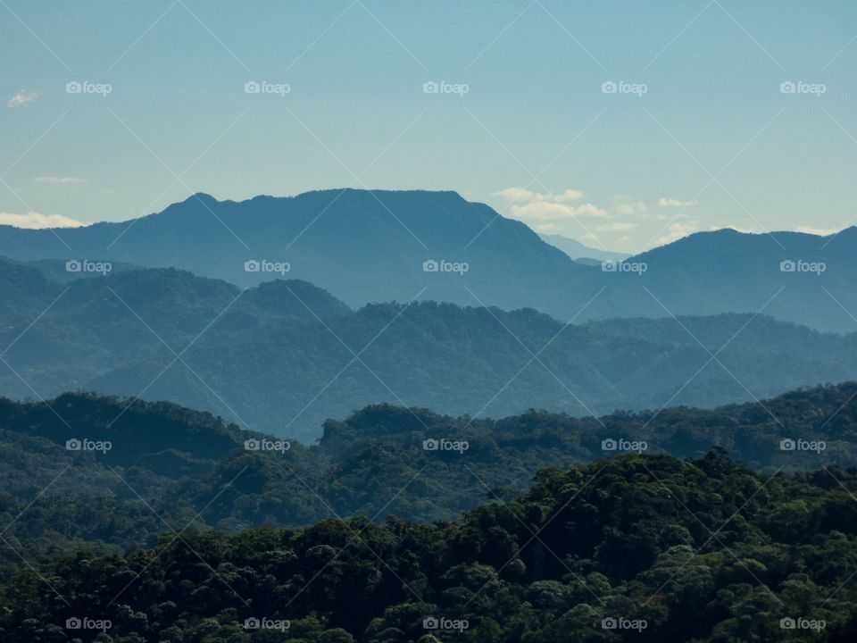 Jungle mountains