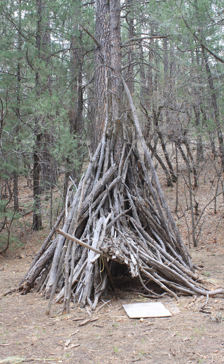 Tee pee in woods along hiking trail