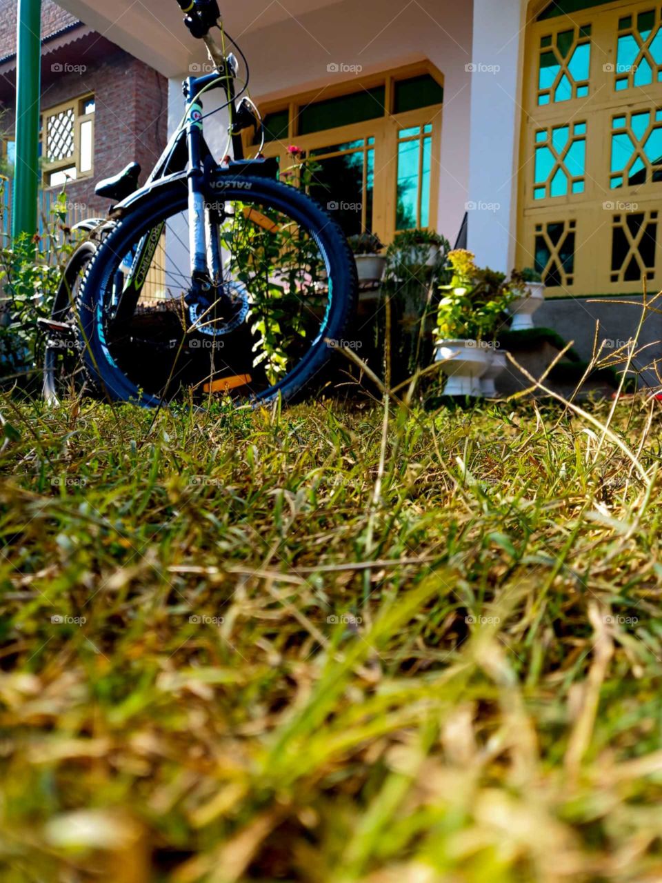 evening stories cool and beautiful view evening view amazing photography greenery