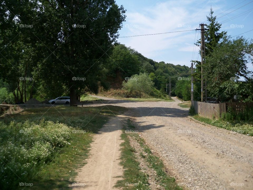 forest road