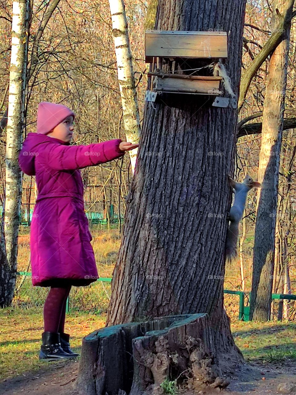 Autumn. Human and nature. Feeder on the tree. On one side of the tree is a girl holding nuts. On the other hand, a squirrel sits in a tree