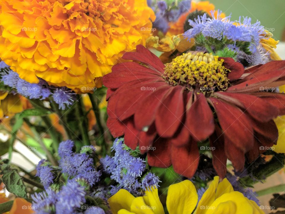 flower bouquet