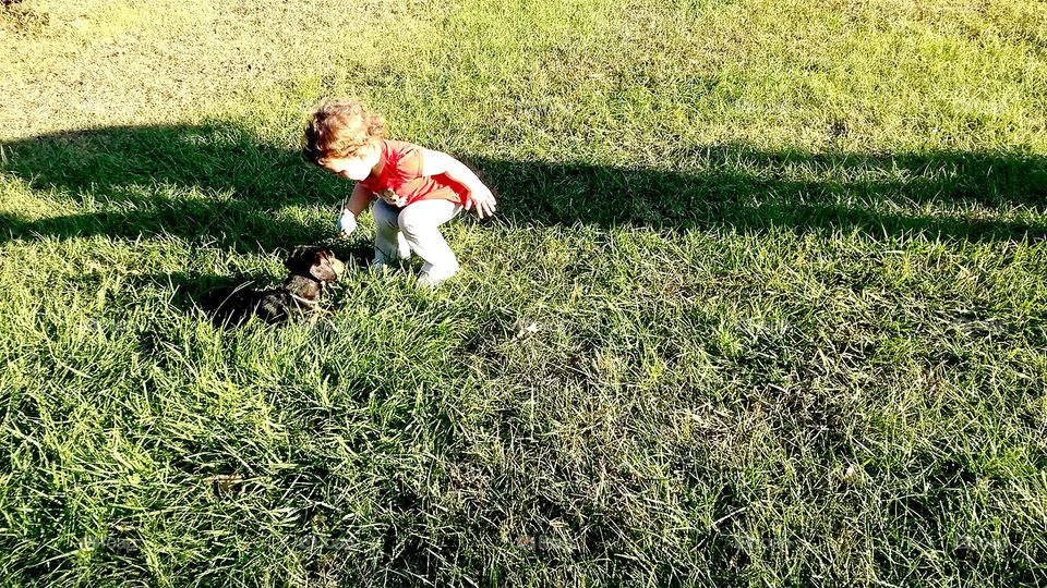 Toddler and Dog