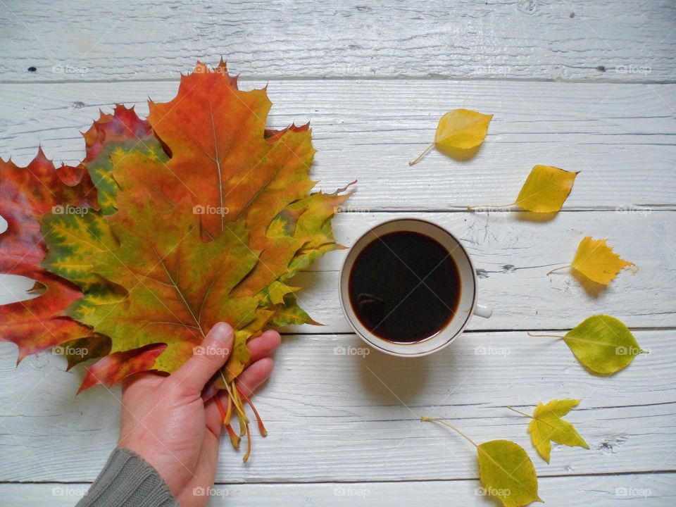 Cup of delicious coffee and colorful autumn leaves