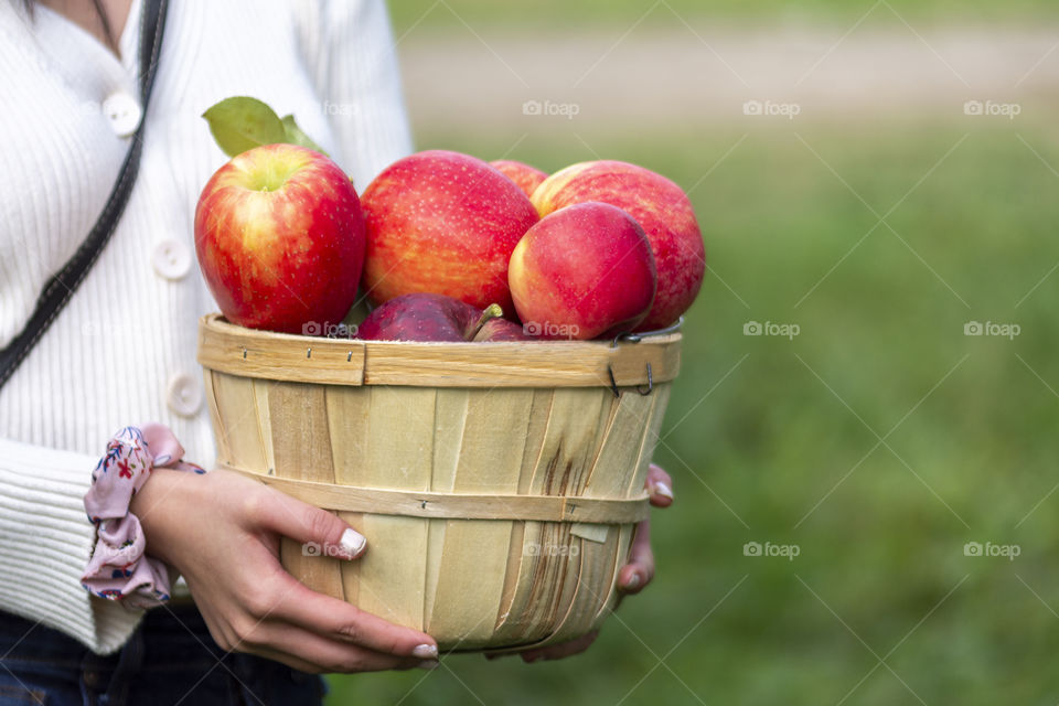 apple picking