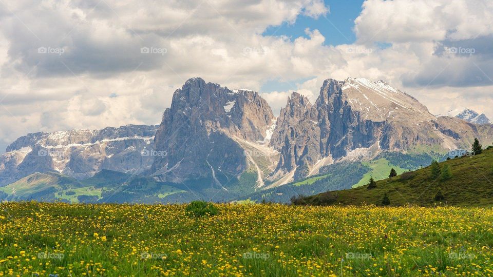 Beautiful nature mountain view