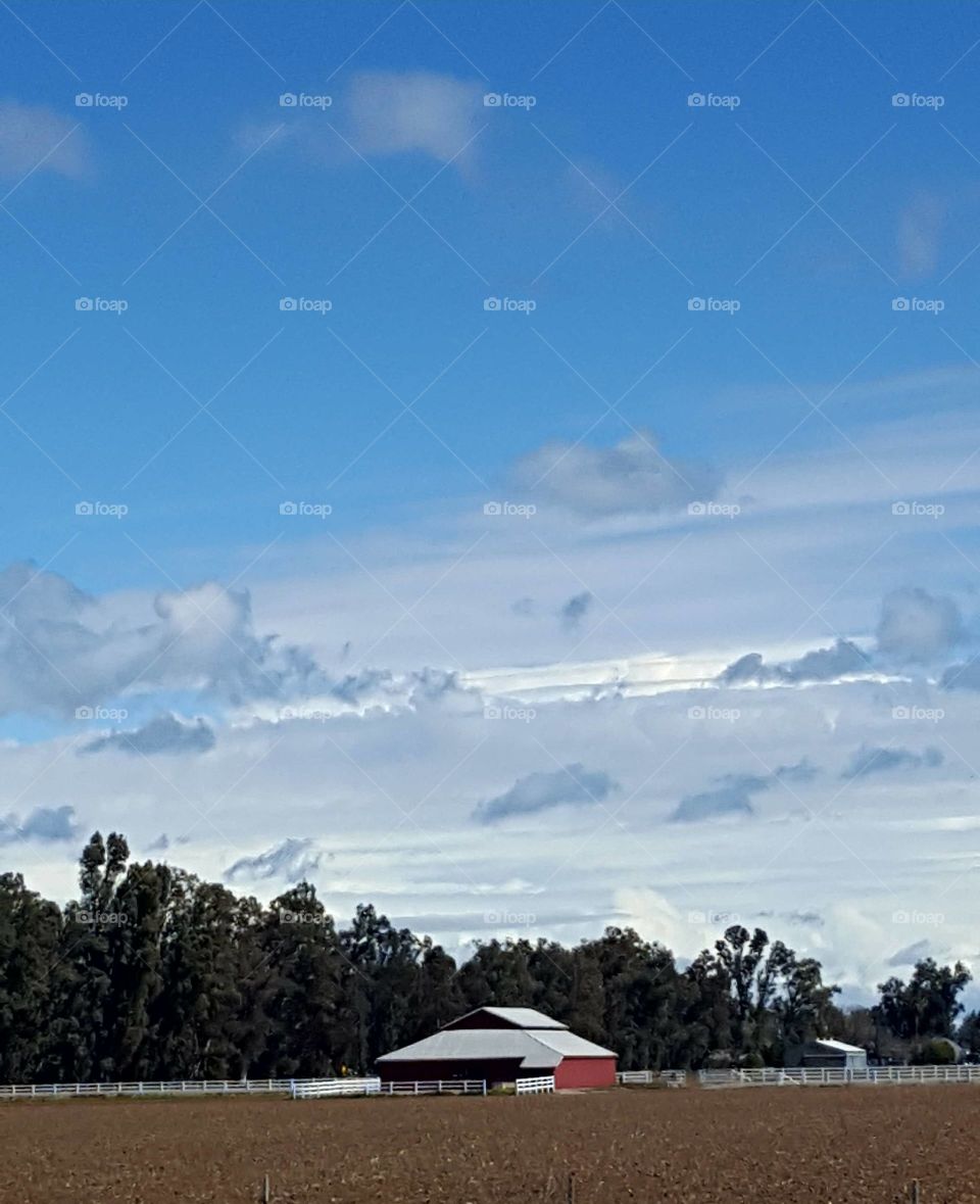 a barn in huge pasture in California farmland