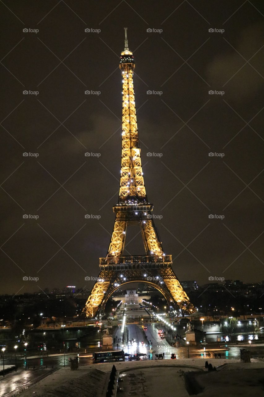 Eiffel Tower. Paris, France 