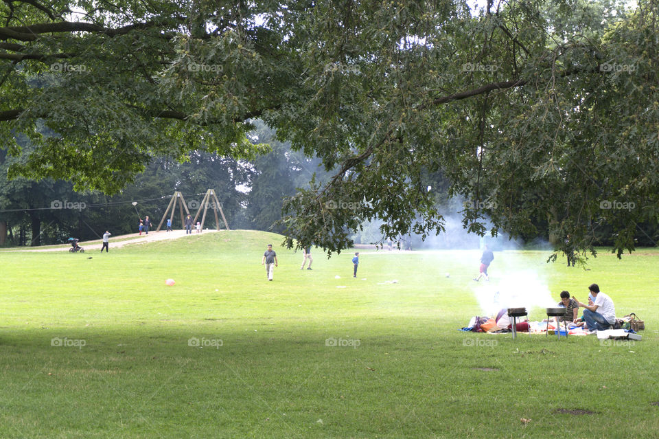 Barbecue in the park