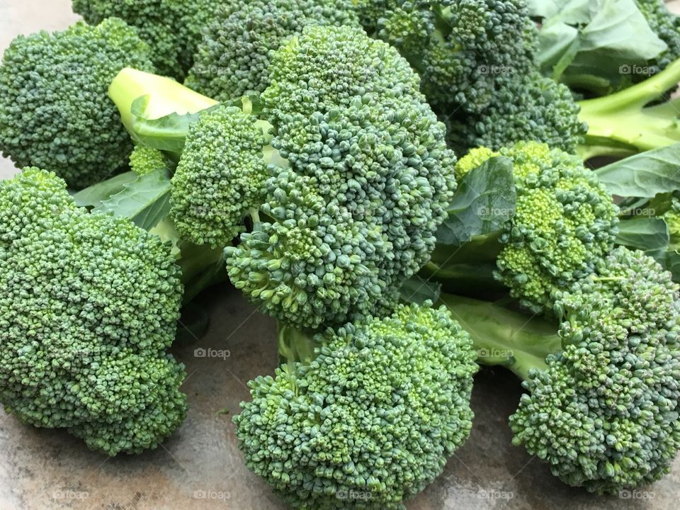 Fresh broccoli from garden