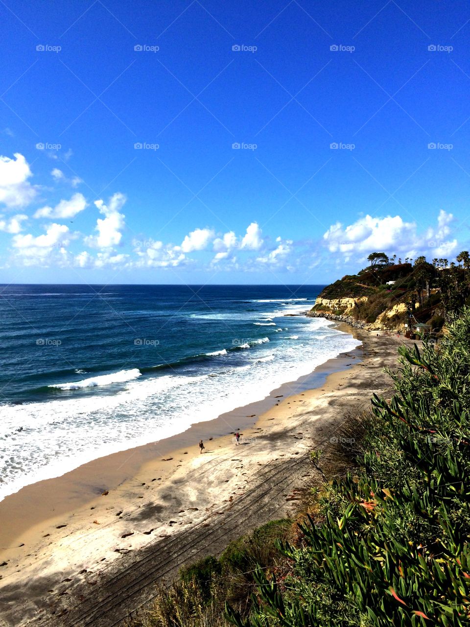 Encinitas after the rain. Beach day